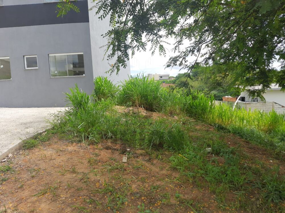 Terreno, 250 m² - Foto 3