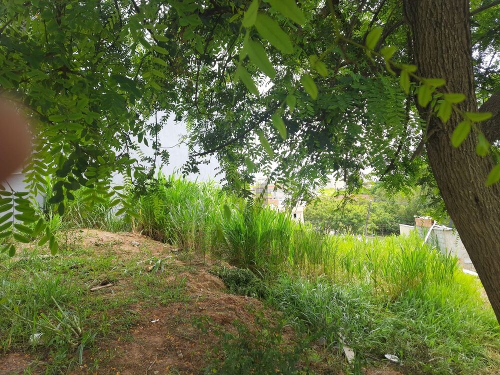 Terreno, 250 m² - Foto 2