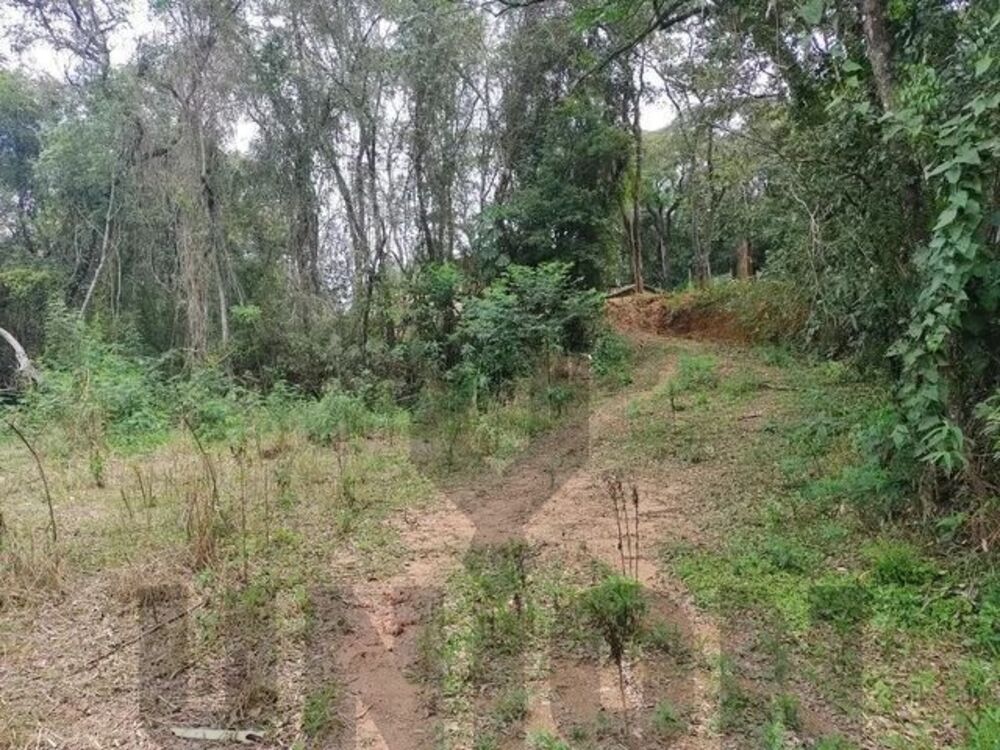 Terreno à venda, 5000m² - Foto 1