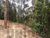 Terreno, 5000 m² - Foto 6
