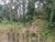 Terreno, 5000 m² - Foto 1