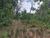 Terreno, 5000 m² - Foto 2