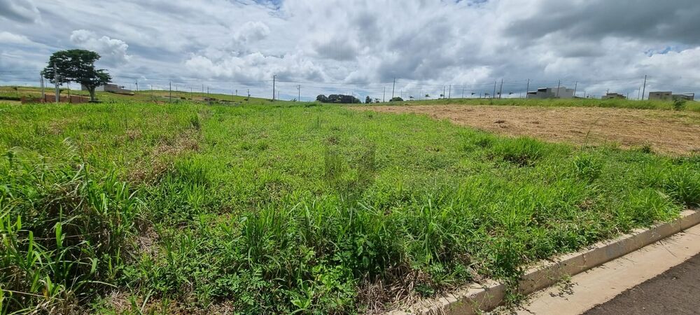 Terreno à venda, 250m² - Foto 6