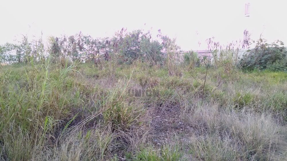 Loteamento e Condomínio, 1000 m² - Foto 4