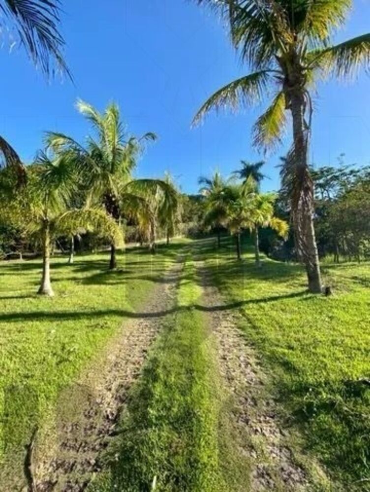 Casa, 4 quartos, 170 m² - Foto 7