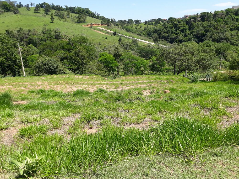 Terreno, 1315 m² - Foto 6