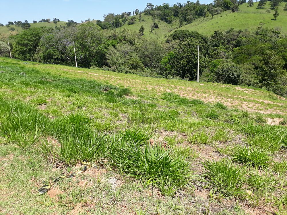 Terreno, 1315 m² - Foto 7