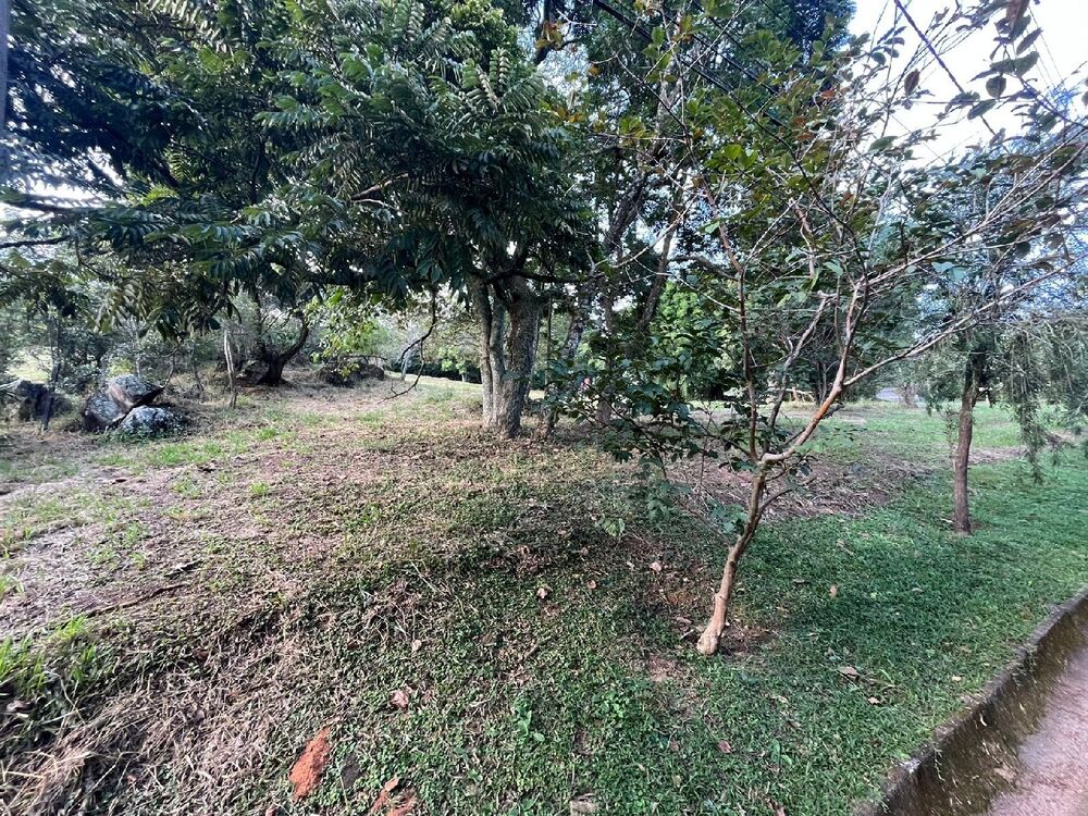 Terreno, 3375 m² - Foto 4