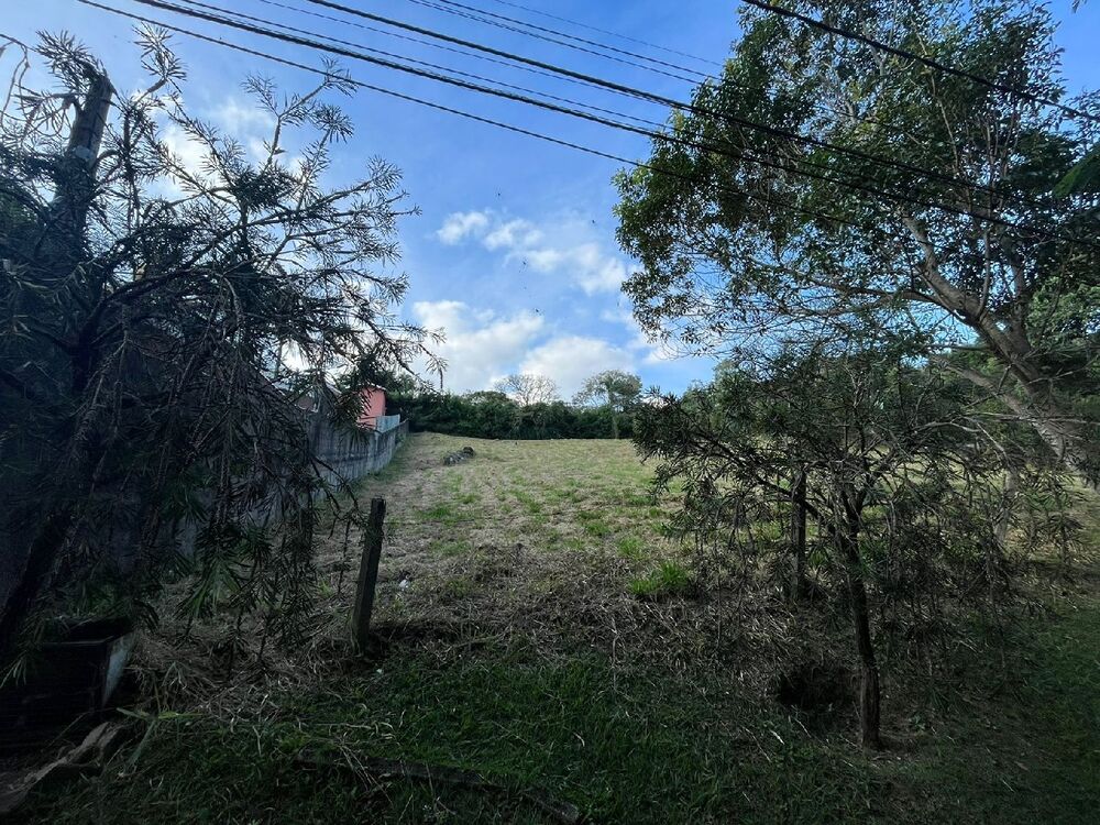 Terreno, 3375 m² - Foto 6