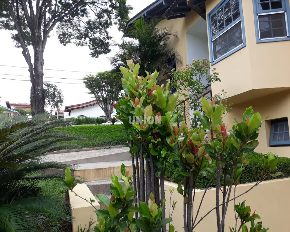 Casa, 4 quartos, 350 m² - Foto 14