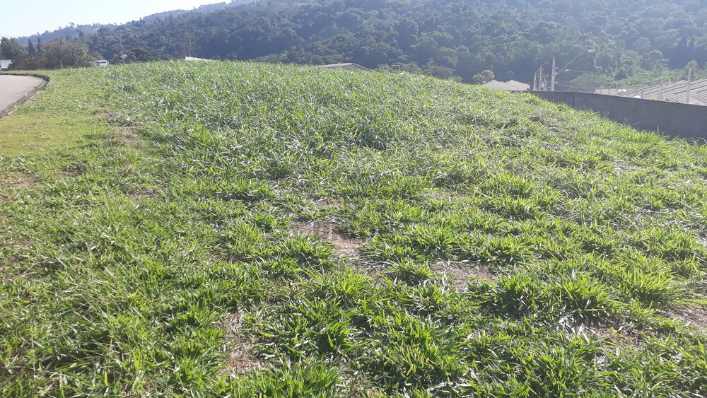 Terreno, 1650 m² - Foto 7