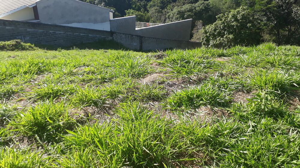 Terreno, 1650 m² - Foto 2