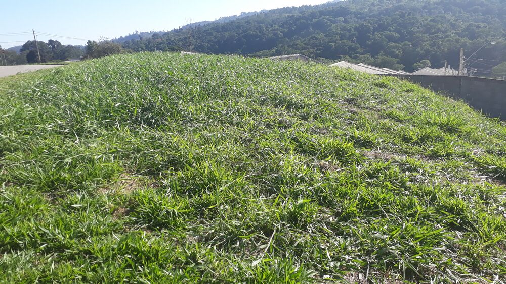 Terreno, 1650 m² - Foto 4
