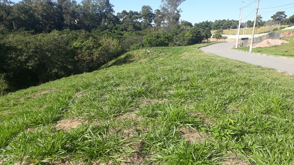 Terreno, 1650 m² - Foto 3