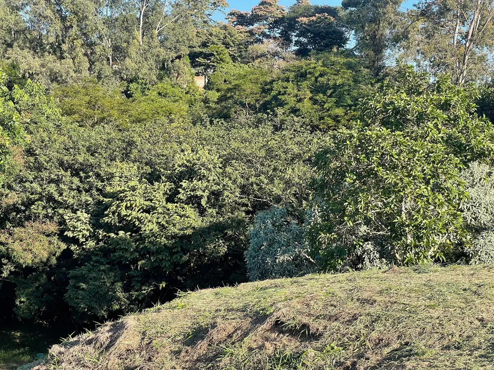 Terreno, 1650 m² - Foto 10