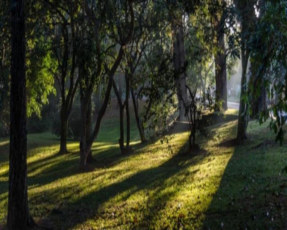 Terreno, 947 m² - Foto 3