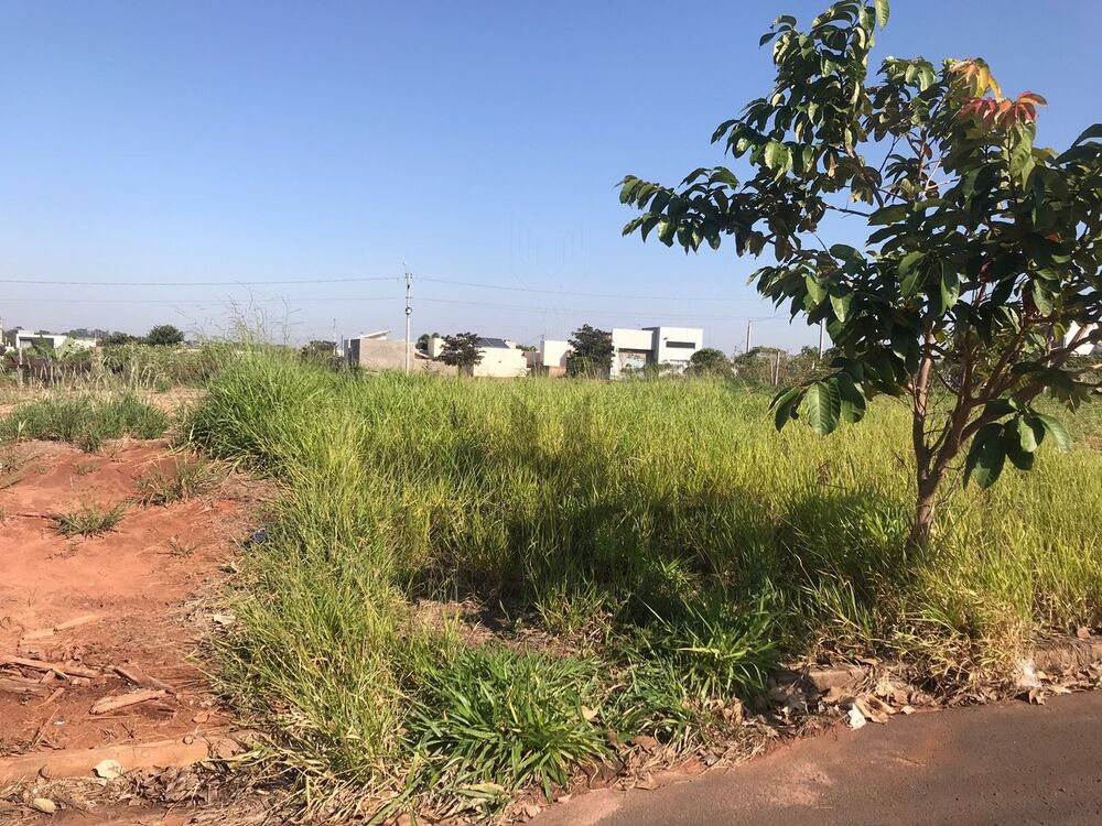 Terreno à venda, 250m² - Foto 4