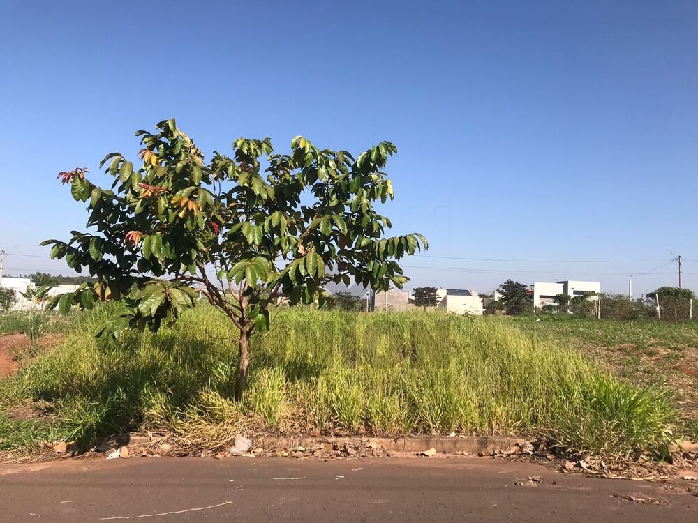 Terreno à venda, 250m² - Foto 3