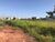 Terreno, 250 m² - Foto 6