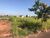 Terreno, 250 m² - Foto 4