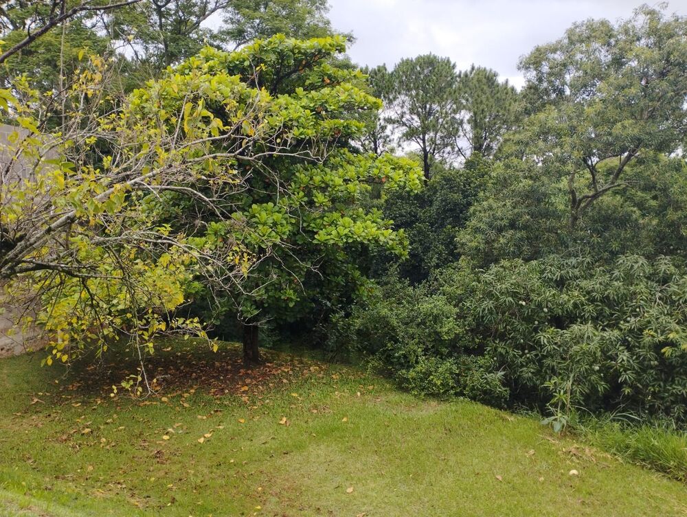 Terreno, 1300 m² - Foto 3