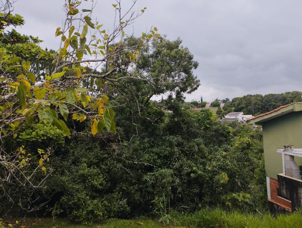 Terreno, 1300 m² - Foto 4