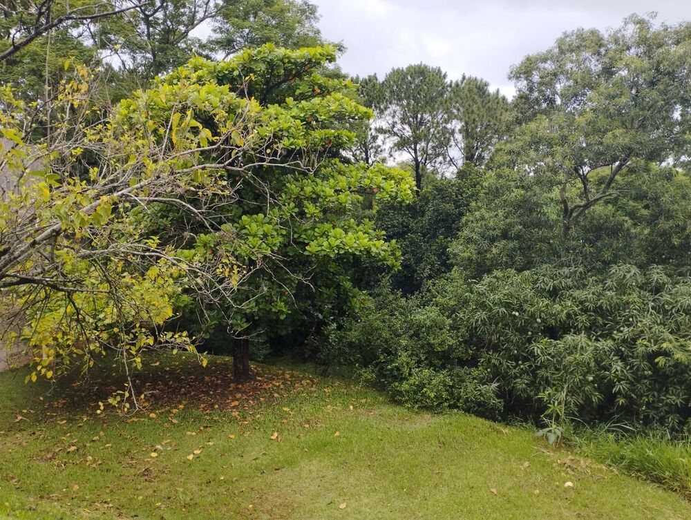 Terreno, 1300 m² - Foto 5