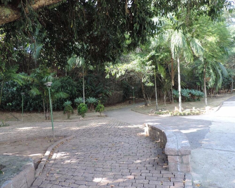 Terreno, 600 m² - Foto 8