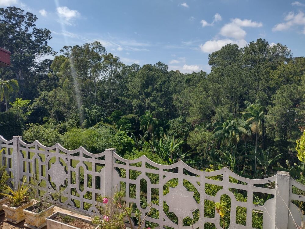 Casa, 7 quartos - Foto 15