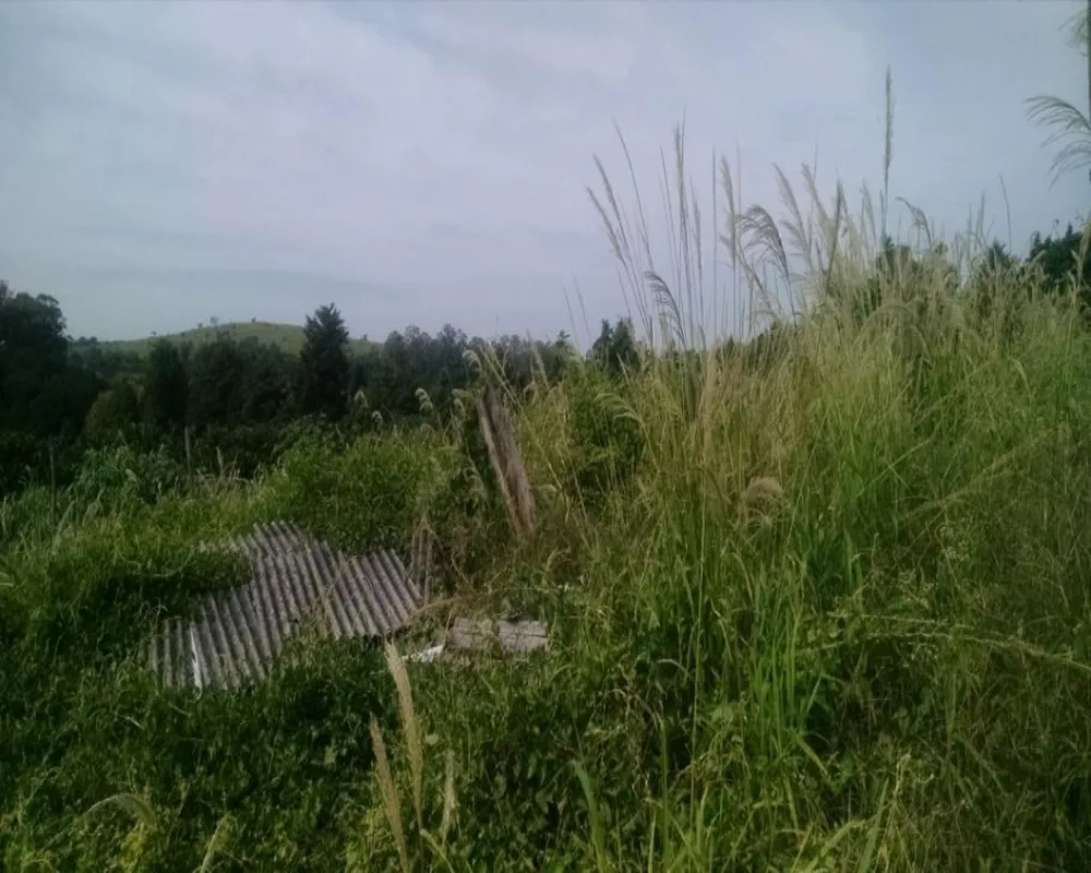 Terreno, 2 hectares - Foto 7