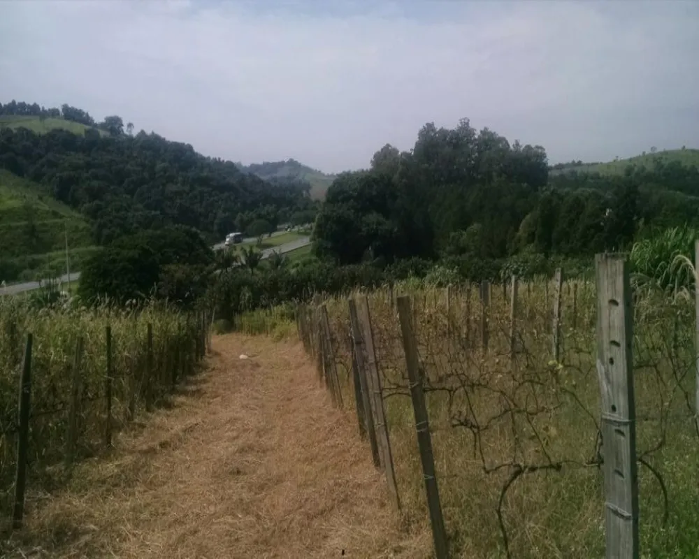 Terreno, 2 hectares - Foto 5