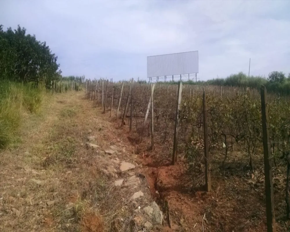 Terreno, 2 hectares - Foto 8