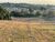 Terreno, 328 m² - Foto 5
