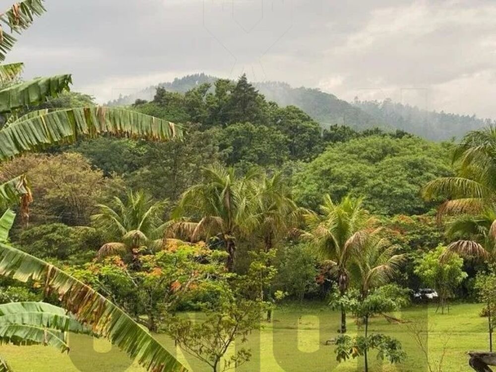 Terreno, 300 m² - Foto 4