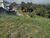 Terreno, 1000 m² - Foto 4