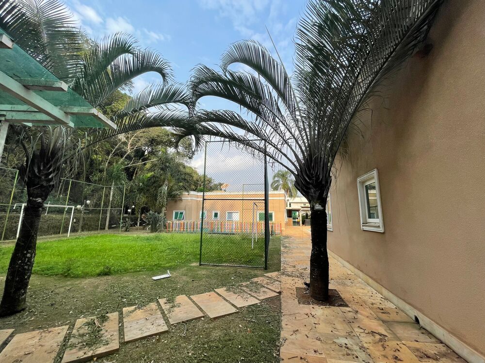 Casa, 4 quartos - Foto 6
