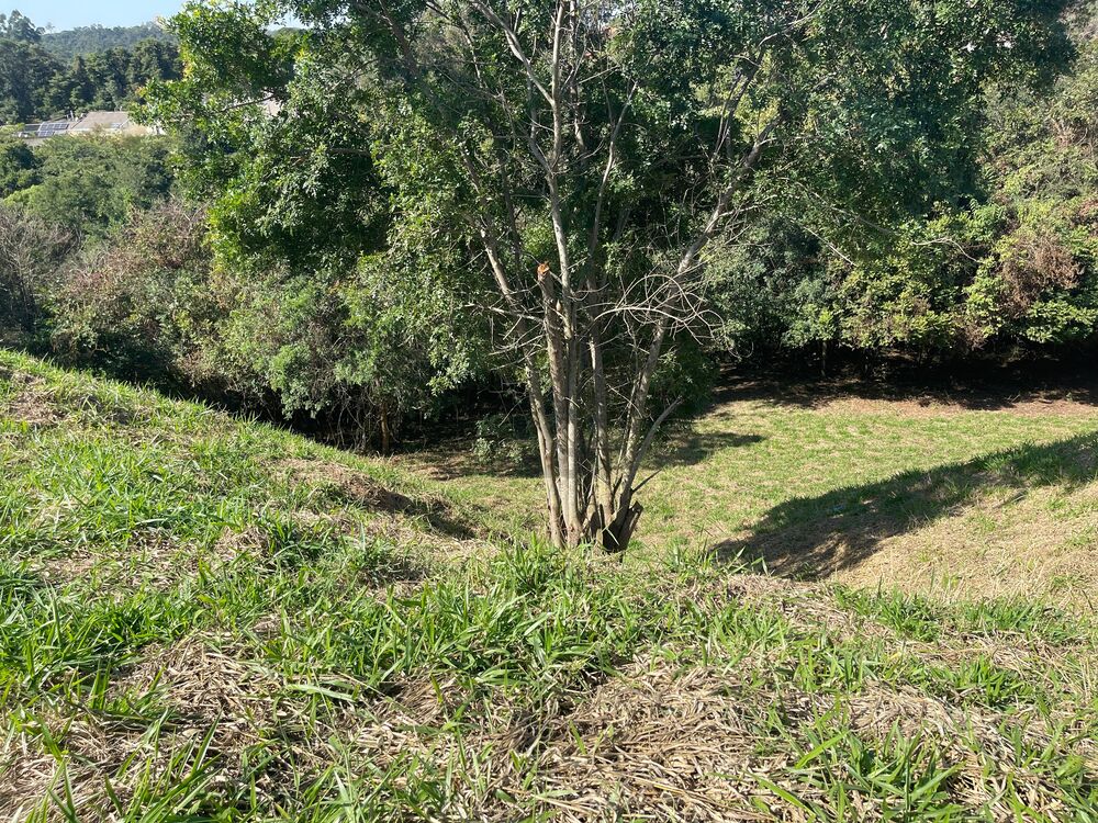 Terreno, 811 m² - Foto 5