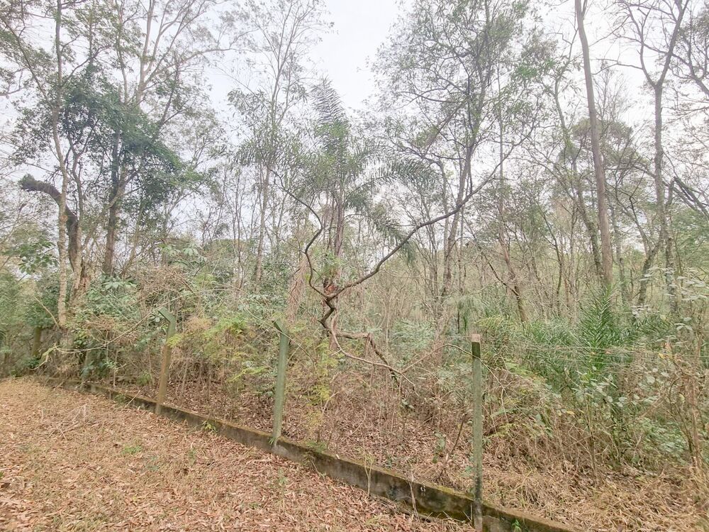 Terreno, 2031 m² - Foto 9