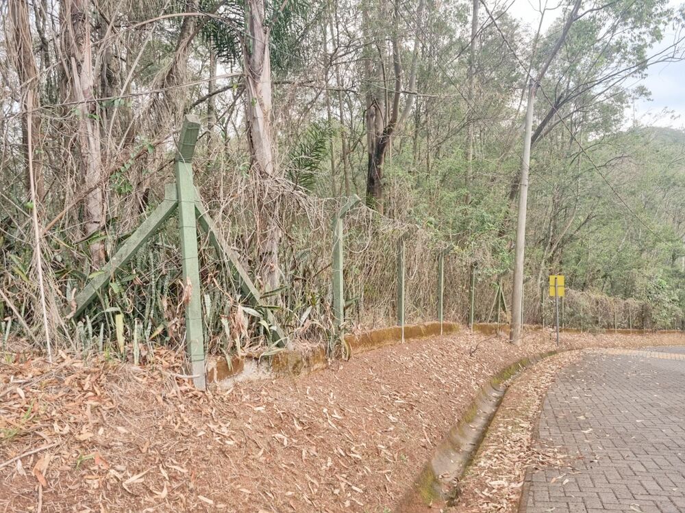 Terreno, 2031 m² - Foto 2