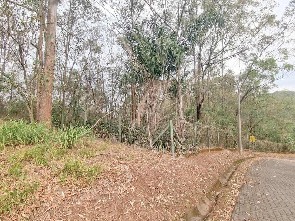 Terreno, 2031 m² - Foto 13