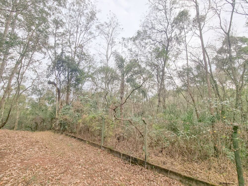 Terreno, 2031 m² - Foto 12