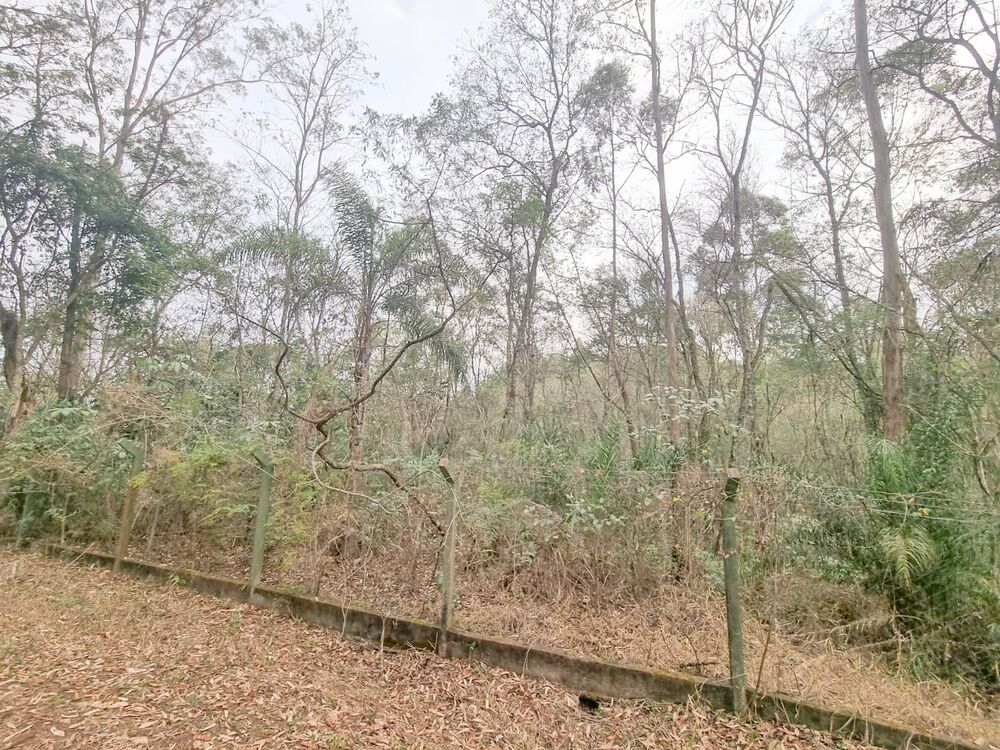 Terreno, 2031 m² - Foto 7