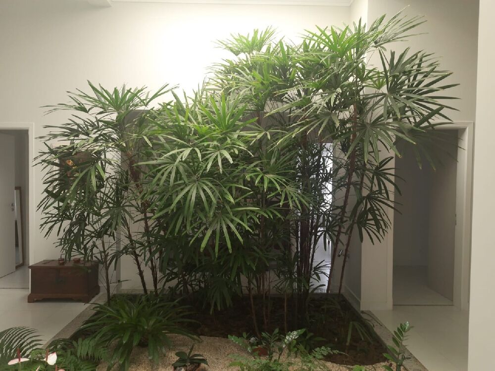 Casa, 4 quartos, 430 m² - Foto 4