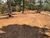 Terreno, 1000 m² - Foto 5