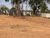 Terreno, 1000 m² - Foto 6