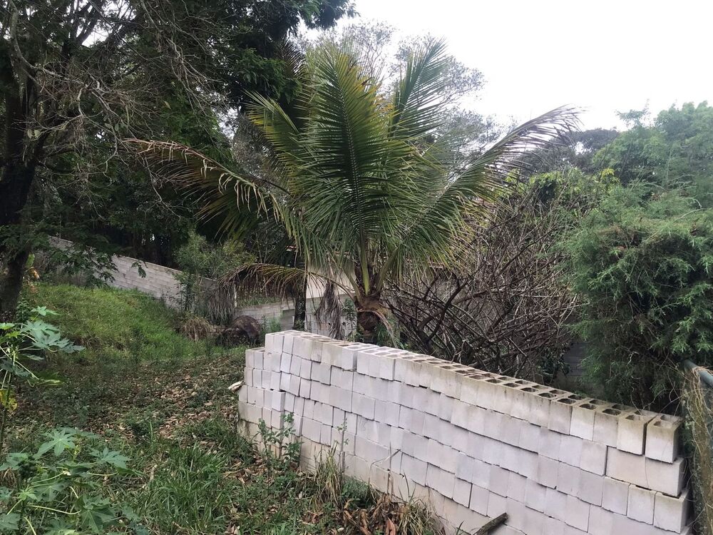 Terreno, 1000 m² - Foto 5