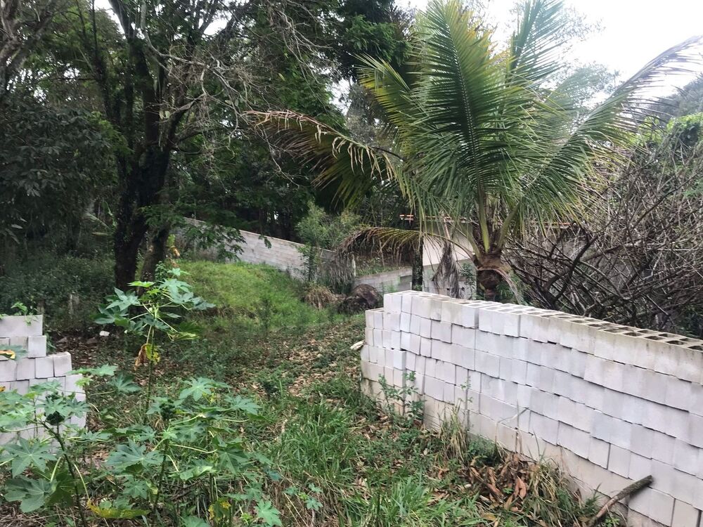 Terreno, 1000 m² - Foto 3