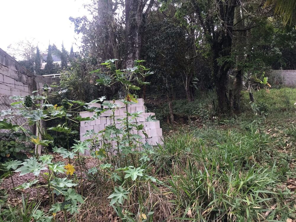 Terreno, 1000 m² - Foto 4