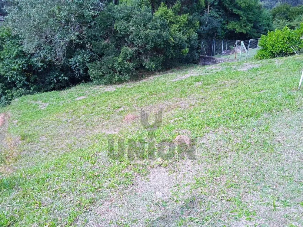 Terreno, 1736 m² - Foto 6
