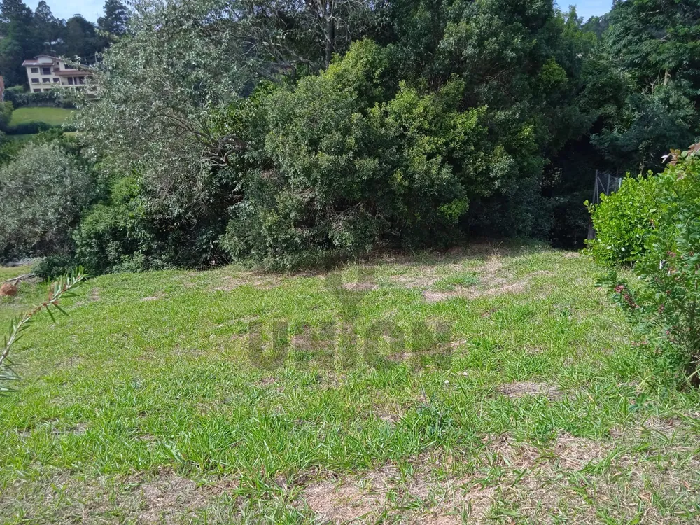 Terreno, 1736 m² - Foto 13